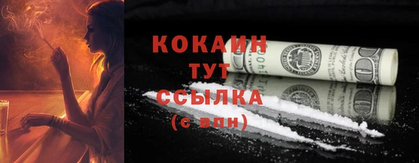 прущие грибы Ростов