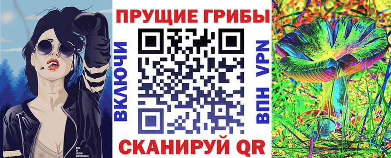 Псилоцибиновые грибы GOLDEN TEACHER  даркнет сайт  Закаменск 