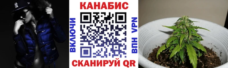 где продают наркотики  Закаменск  Конопля SATIVA & INDICA 